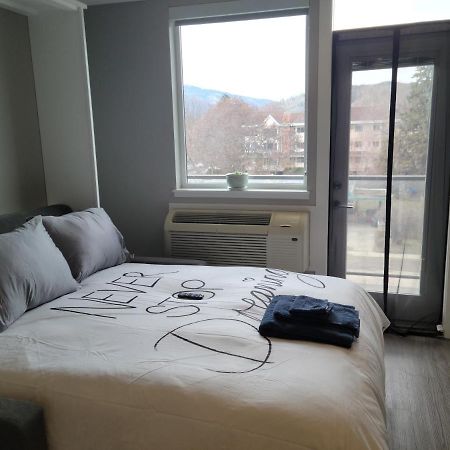 Cozy Studio Suite, 15Min Walk To Downtown Kelowna Exteriör bild